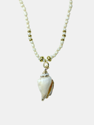 Colar Concha Única Longo